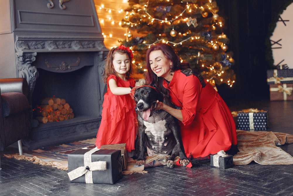 Christmas photoshoot – 10 reasons to do it
