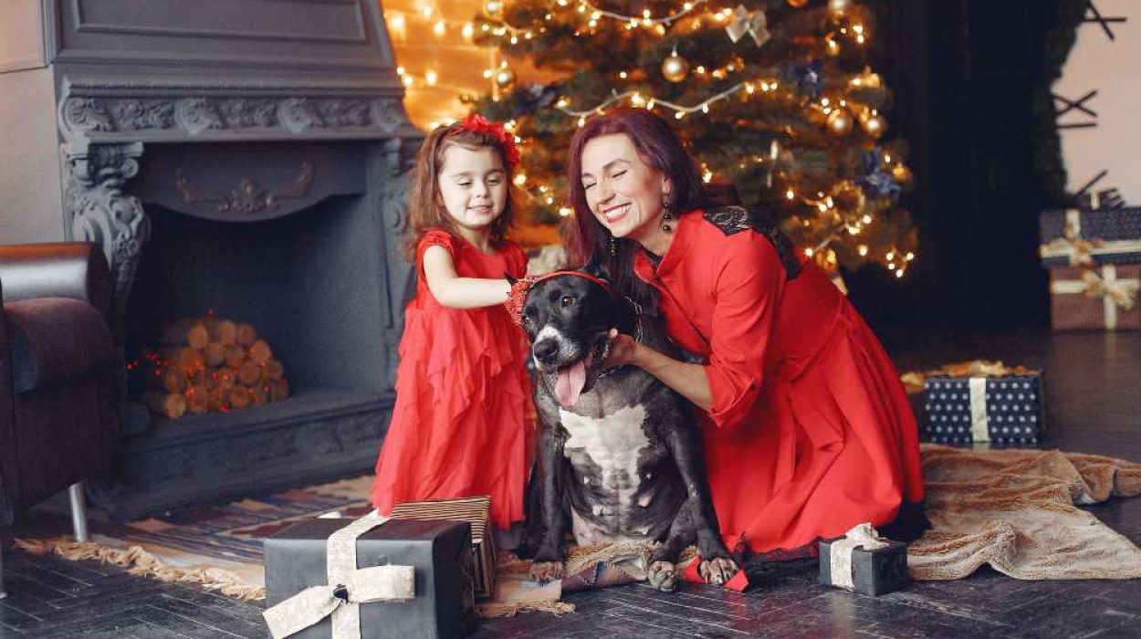 Коледна фотосесия - 10 причини да я направим R